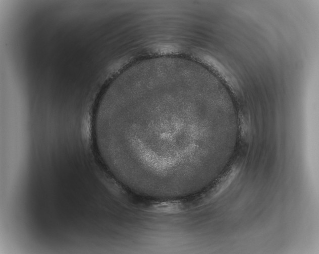 X0000101460447200807281003