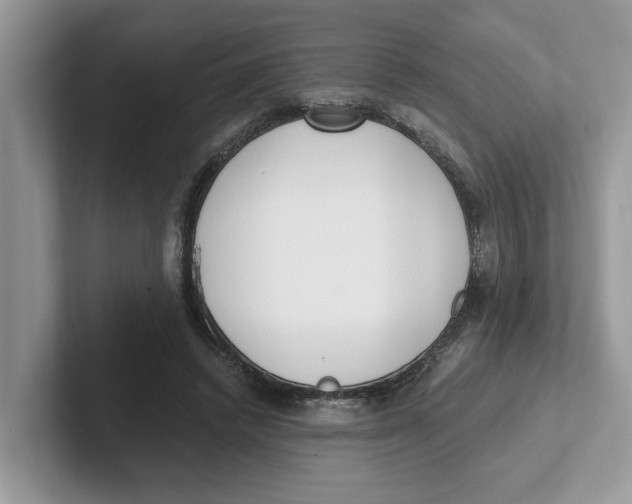 X0000101460448200807281003