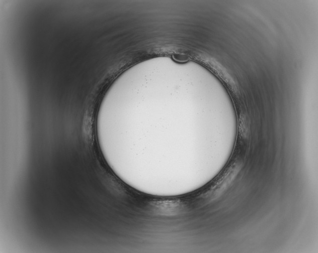 X0000101460449200807281003