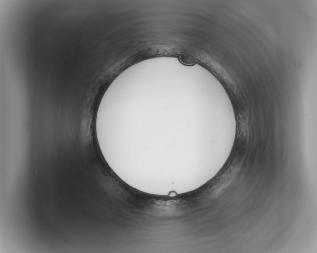 X0000101460450200807281003