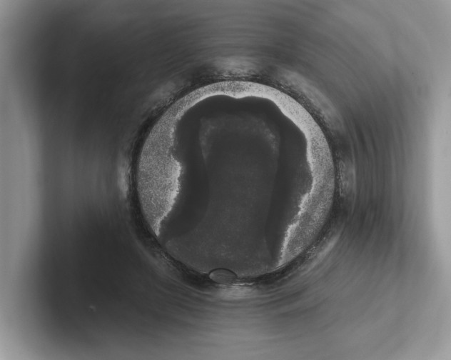 X0000101460451200807281003