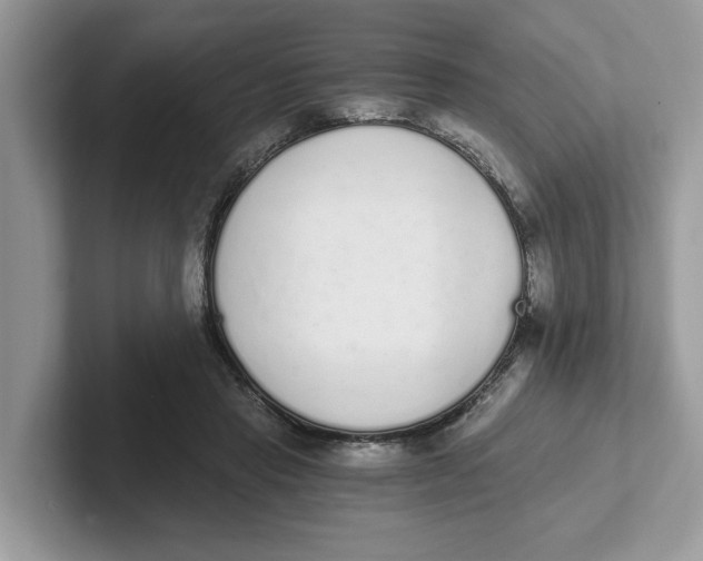 X0000101460453200807281003