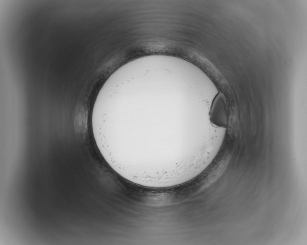 X0000101460454200807281003