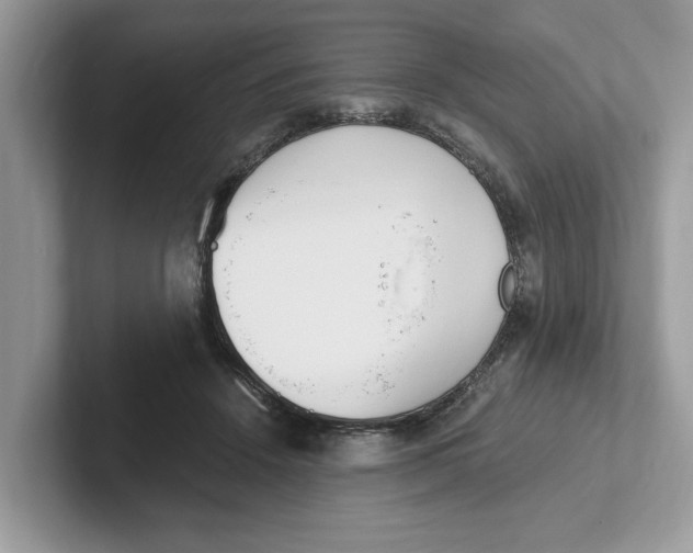 X0000101460456200807281003