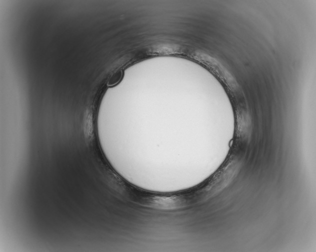 X0000101460457200807281003