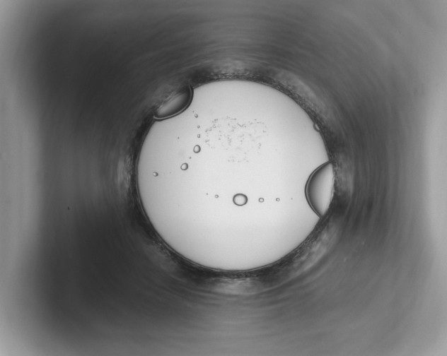 X0000101460458200807281003