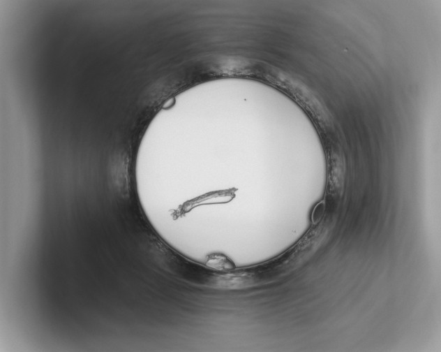 X0000101460461200807281003