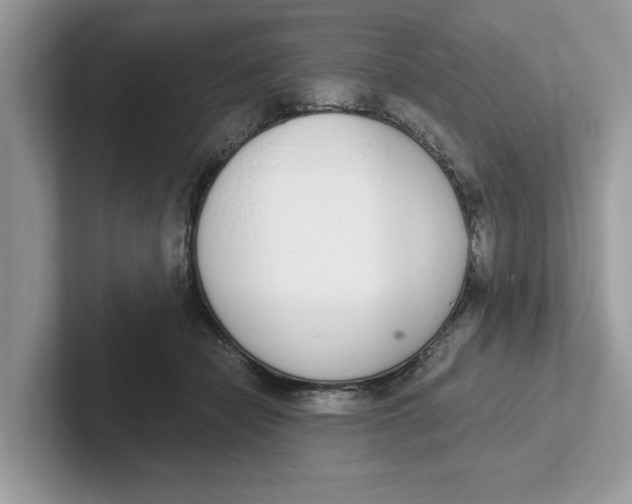 X0000101460462200807281003