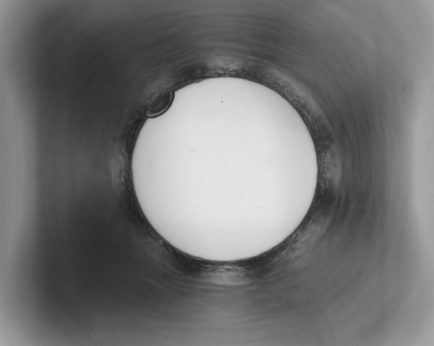 X0000101460463200807281003