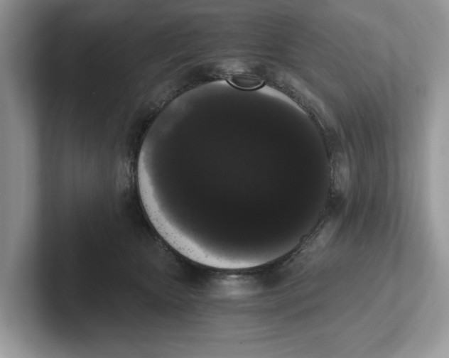 X0000101460467200807281003