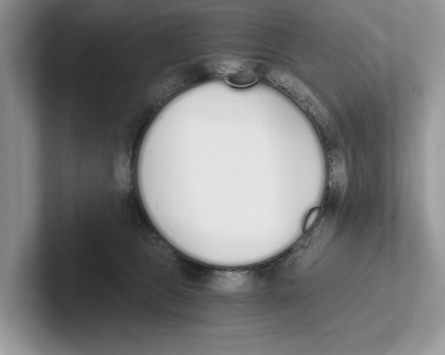 X0000101460469200807281003