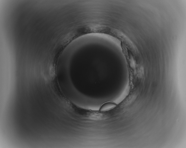 X0000101460471200807281003