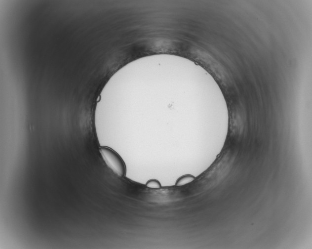 X0000101460473200807281003