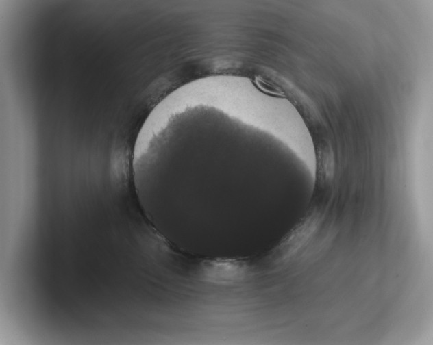 X0000101460475200807281003