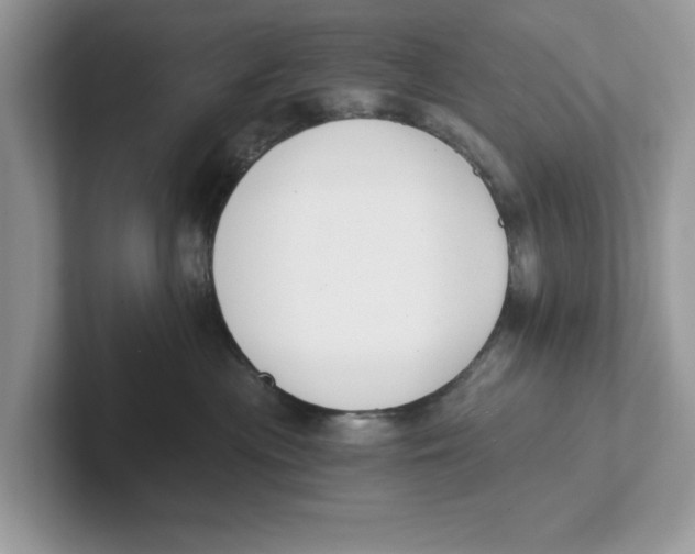 X0000101460477200807281003