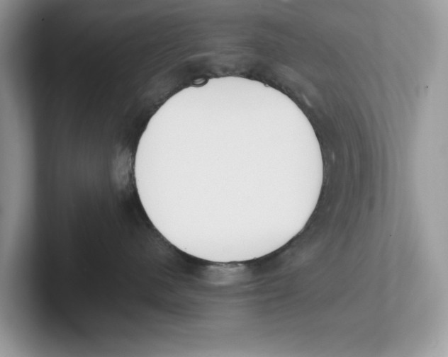 X0000101460480200807281003