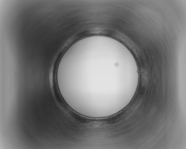 X0000101460482200807281002