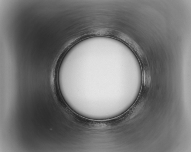 X0000101460483200807281002