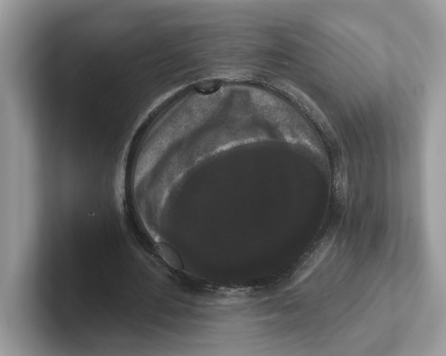 X0000101460484200807281002