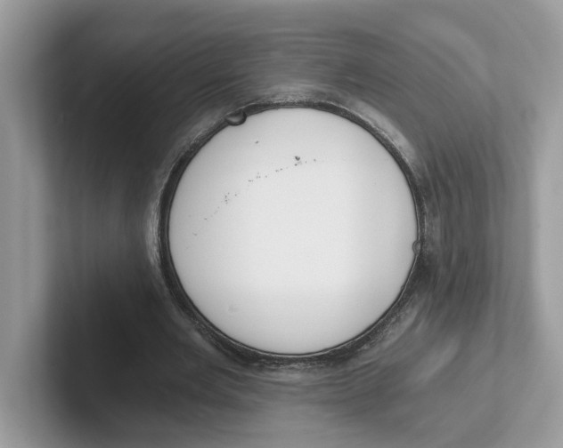 X0000101460485200807281002