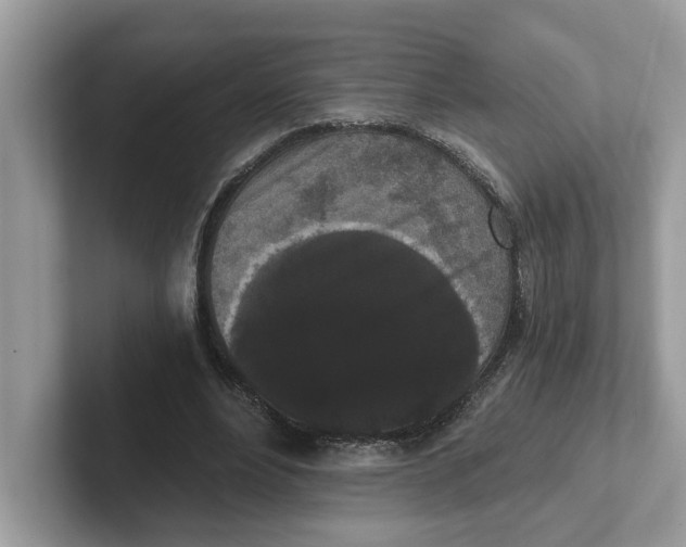 X0000101460488200807281002