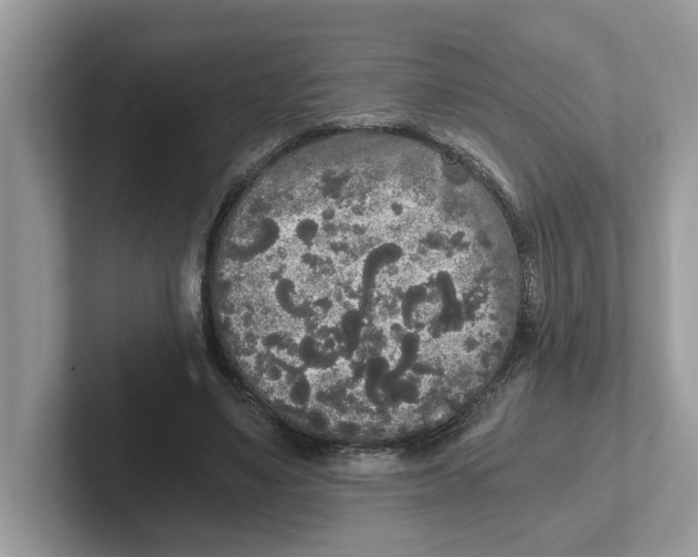 X0000101460491200807281002