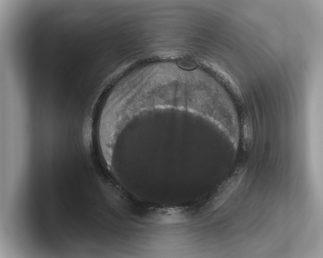 X0000101460492200807281002