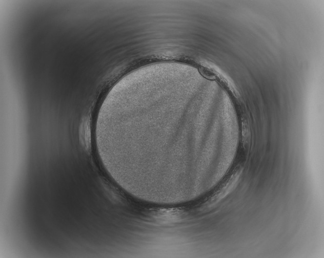 X0000101460493200807281002