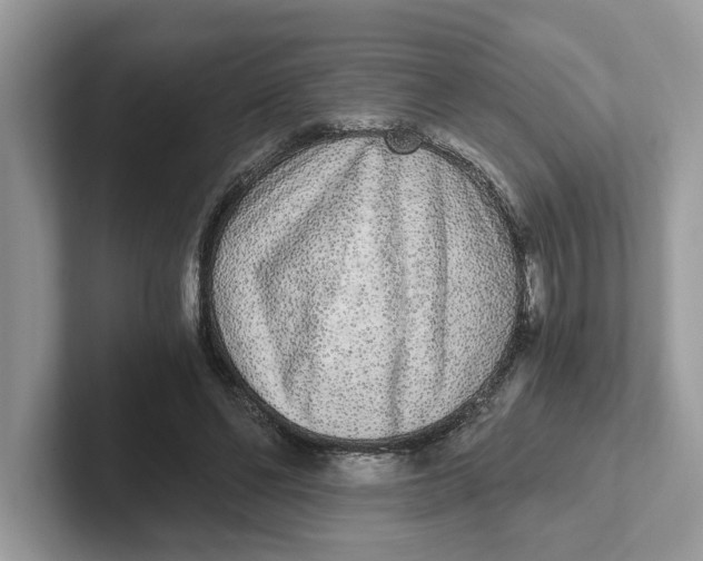 X0000101460494200807281002