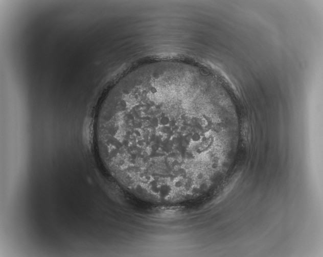 X0000101460495200807281002