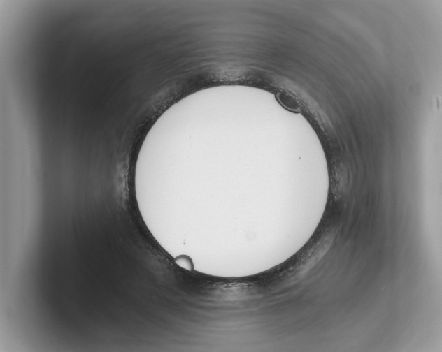 X0000101460497200807281002