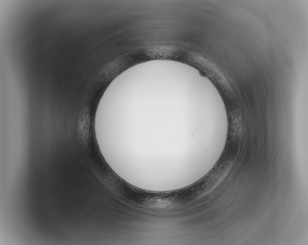 X0000101460498200807281002