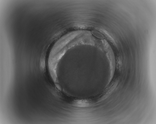 X0000101460500200807281002