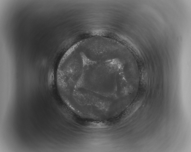 X0000101460502200807281002