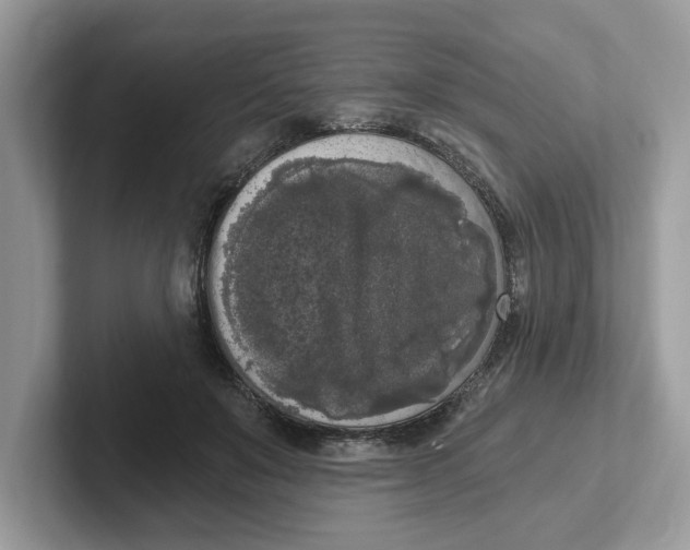 X0000101460503200807281002