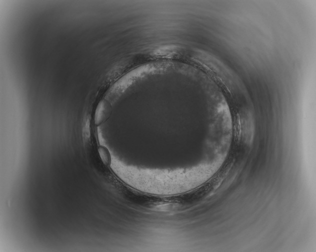 X0000101460504200807281002