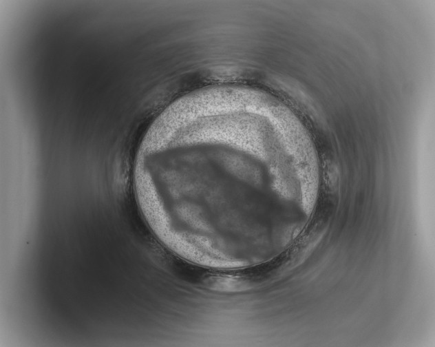 X0000101460507200807281002