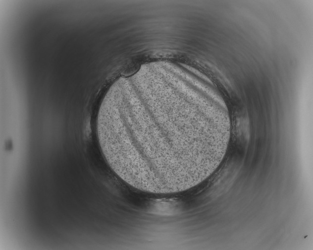 X0000101460508200807281002