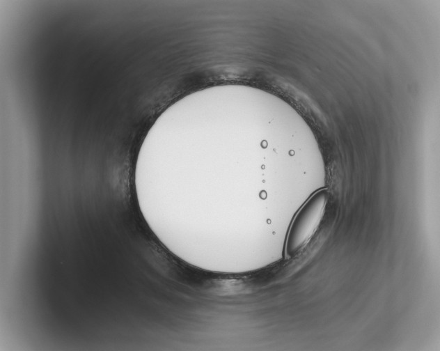 X0000101460509200807281002