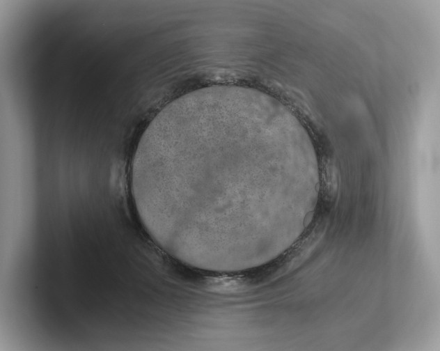 X0000101460511200807281002