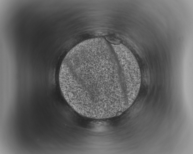 X0000101460512200807281002