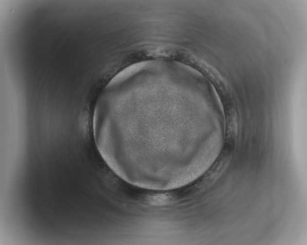 X0000101460513200807281002