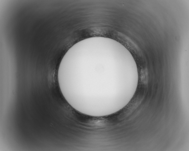 X0000101460514200807281002