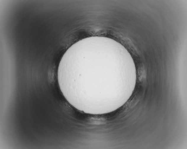 X0000101460515200807281002