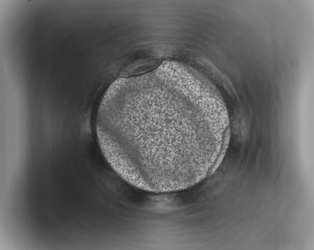 X0000101460516200807281002