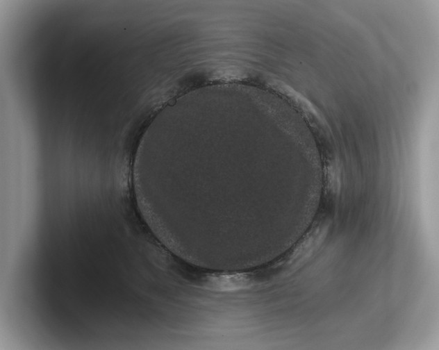 X0000101460517200807281002