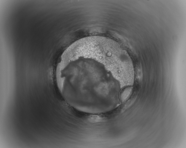 X0000101460519200807281002