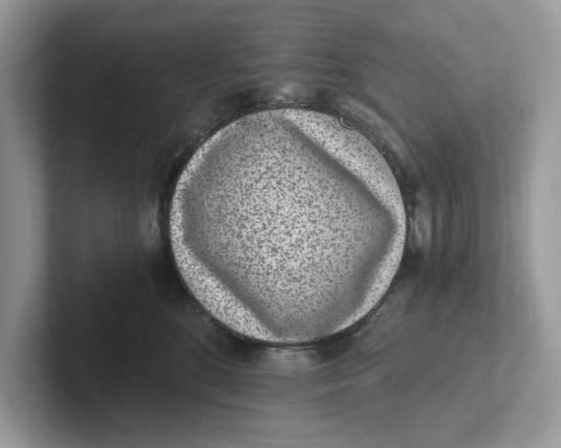 X0000101460520200807281002