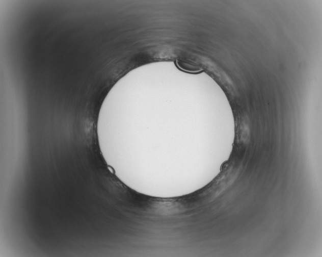 X0000101460521200807281002