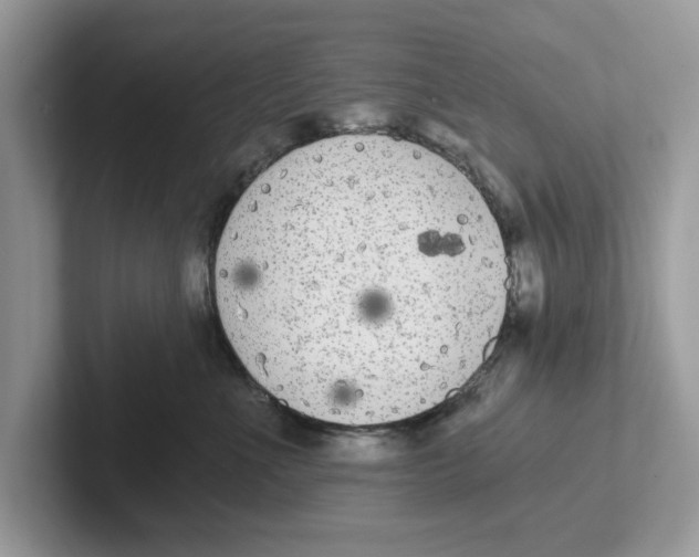 X0000101460523200807281002